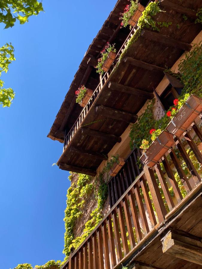 La Casa Del Bosque Villa Cabra de Mora Luaran gambar